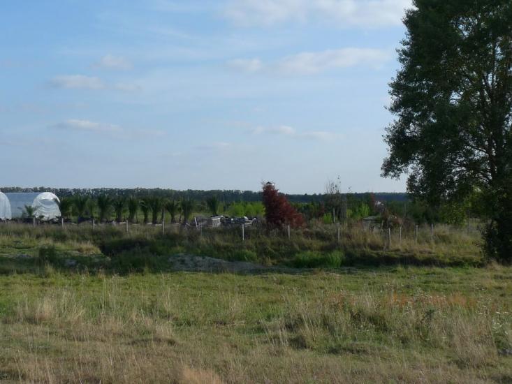 Нова Буда з panoramio.com - Нова Буда