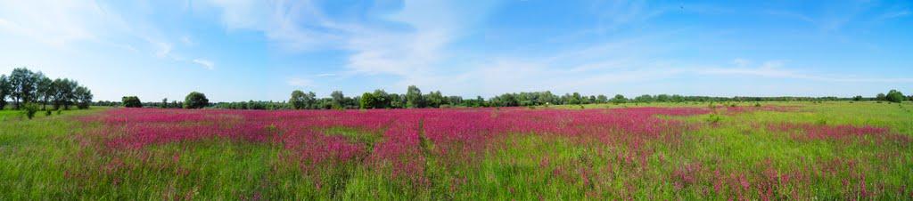 Єньків з panoramio.com - Yenkiv