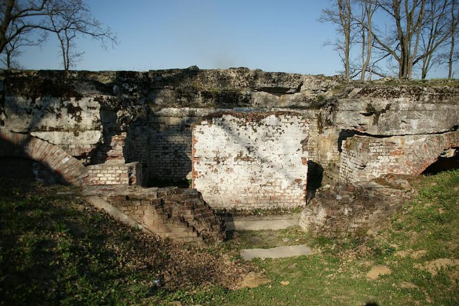 Биків з panoramio.com - Быков
