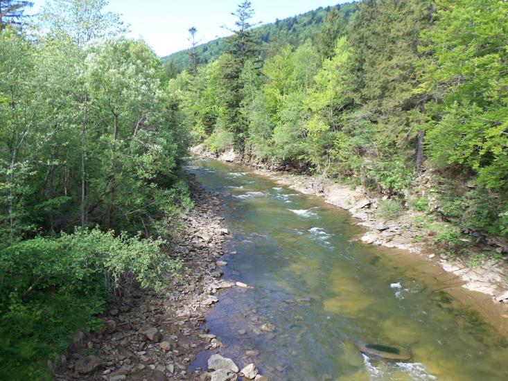 Новий Мізунь з panoramio.com - Novyy Mizun