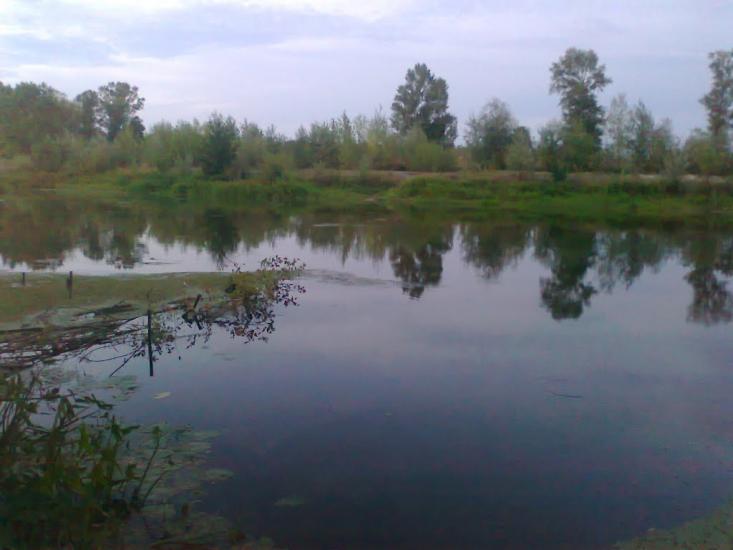 Велика Багачка з panoramio.com - Великая Багачка