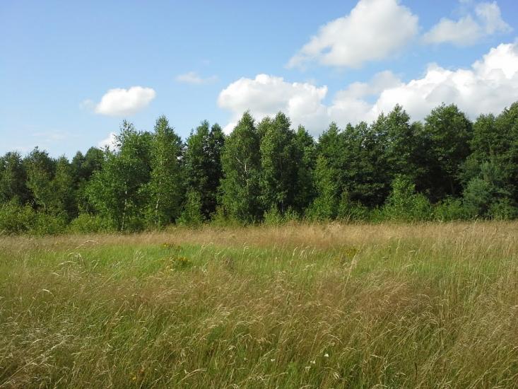 Вирка з panoramio.com - Vyrka