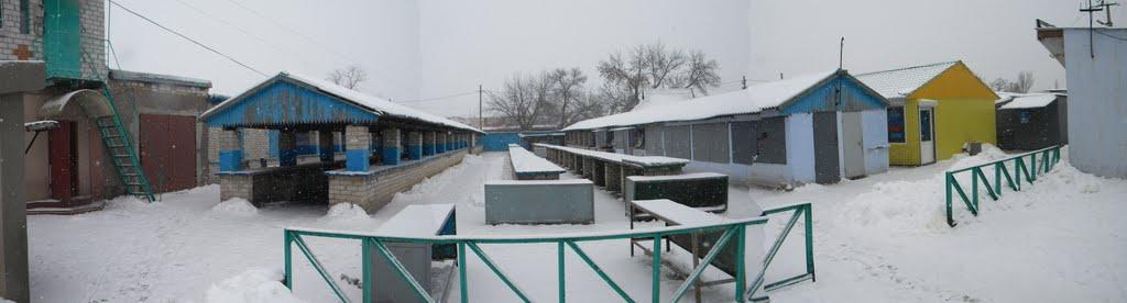 Снігурівка з panoramio.com - Снигиревка