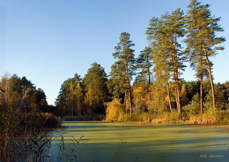 Циблі з panoramio.com - Tsybli