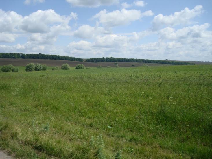 Давидківці з panoramio.com - Давыдковцы