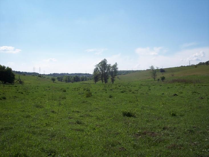 Сурсько-Литовське з panoramio.com - Сурско-Литовское