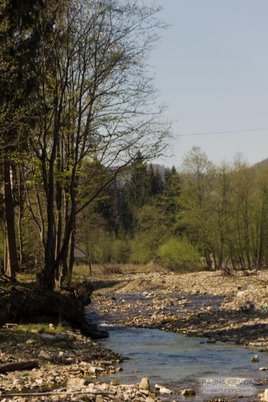 Пасічна з panoramio.com - Пасечная
