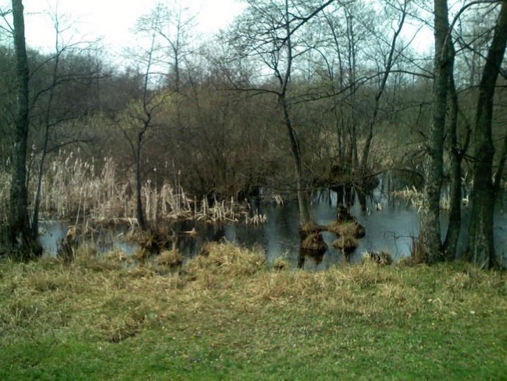 Ярова з panoramio.com - Ярова