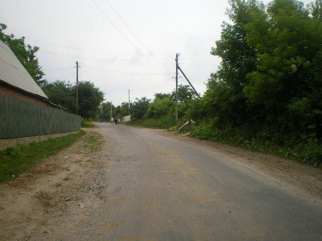 Черепашинці з panoramio.com - Cherepashyntsi