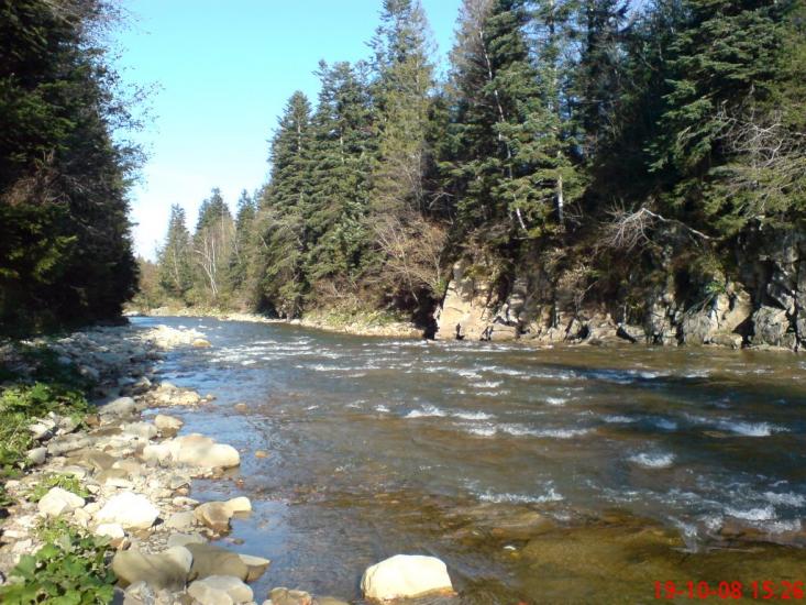 Новий Мізунь з panoramio.com - Novyy Mizun