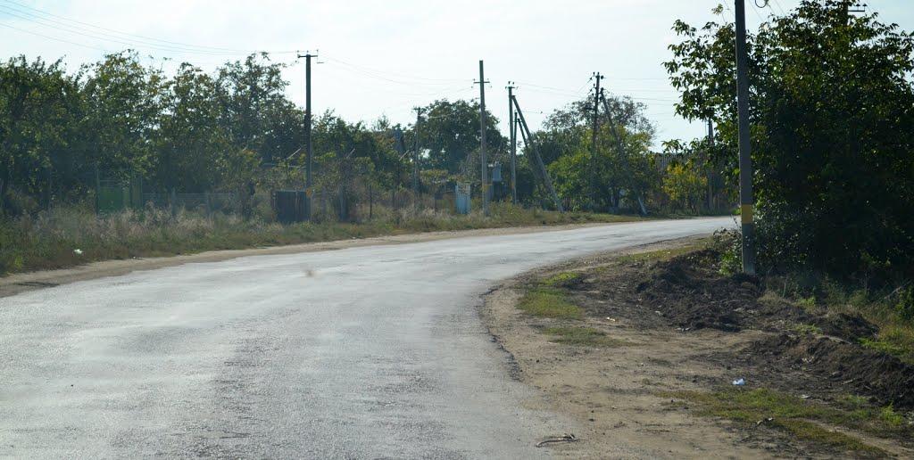 Розалівка з panoramio.com - Розаловка