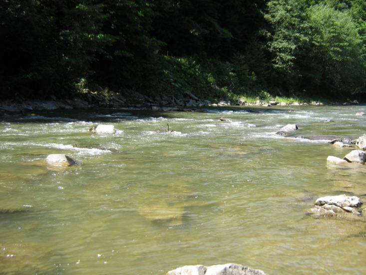 Ганьковиця з panoramio.com - Gankovytsya