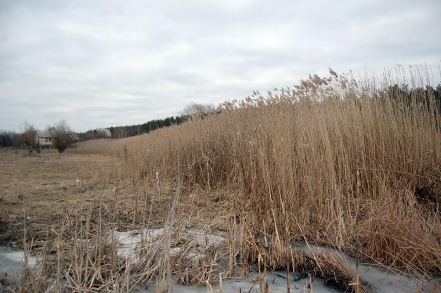 Сиротине з panoramio.com - Сиротине