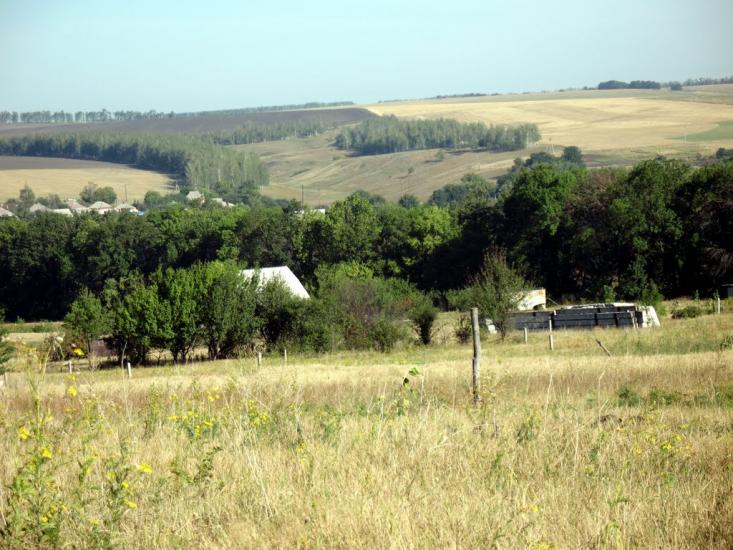 Черкаська Лозова з panoramio.com - Черкасская Лозовая