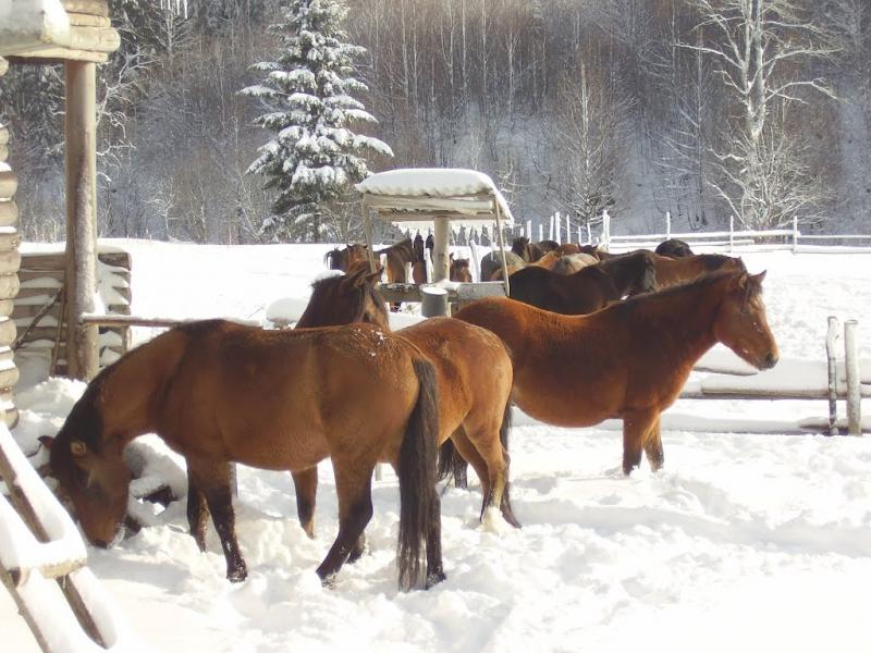 Кічерний з panoramio.com - Кичерный