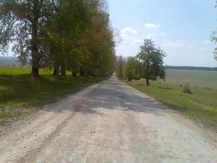 Удріївці з panoramio.com - Удриевцы