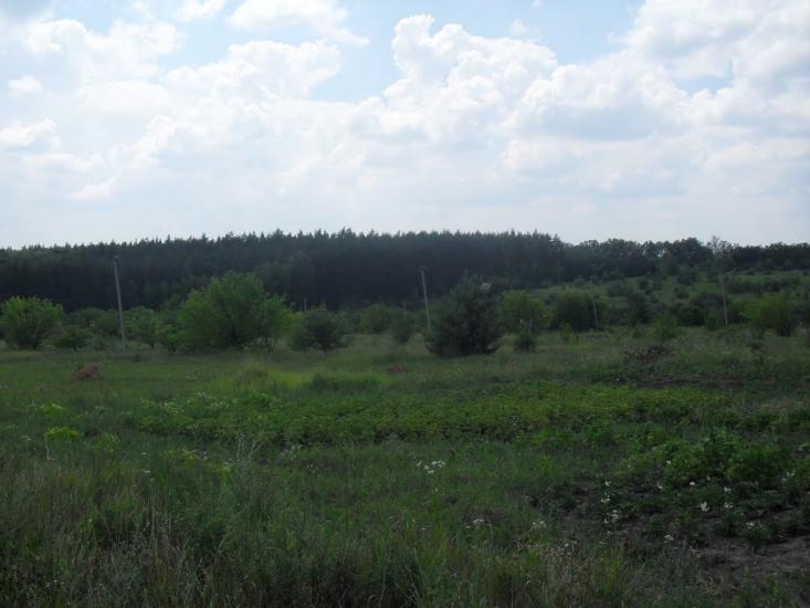 Українське з panoramio.com - Украинское
