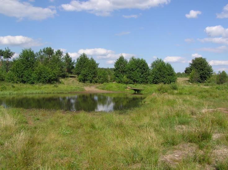 Ушиця з panoramio.com - Ушица