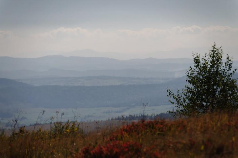 Гусний з panoramio.com - Гусний