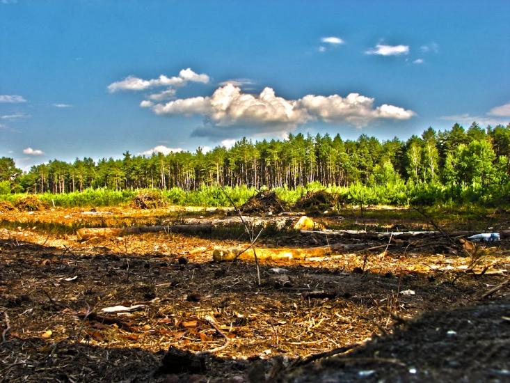 Клипець з panoramio.com - Клипець