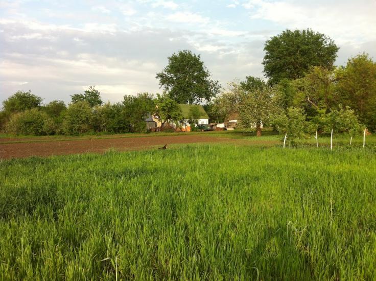Іванівка з panoramio.com - Іванівка