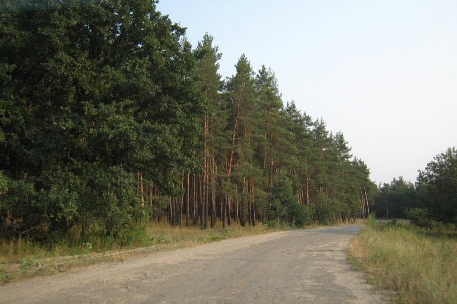 Причепилівка з panoramio.com - Причепиловка