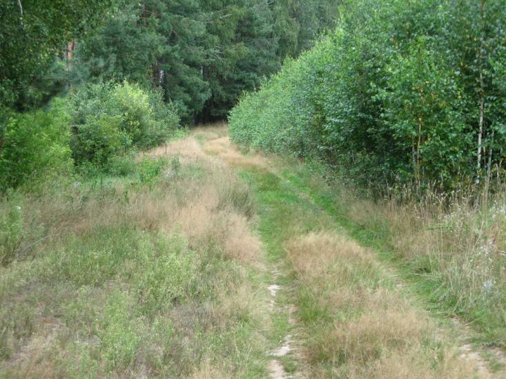 Макове з panoramio.com - Маково