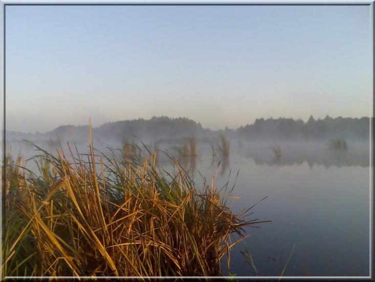 Макове з panoramio.com - Макове