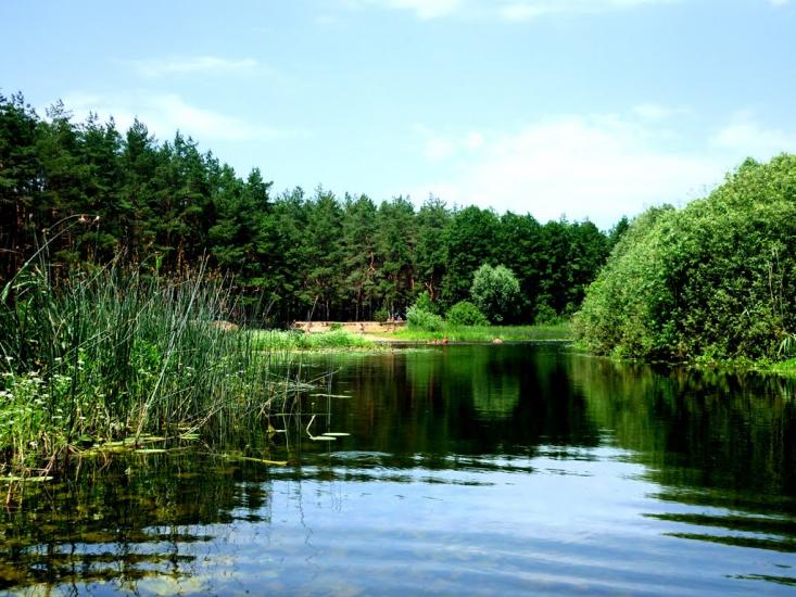 Журавка з panoramio.com - Журавка