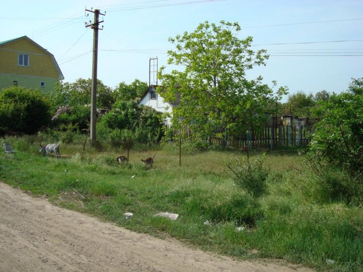 Переможне з panoramio.com - Peremozhne