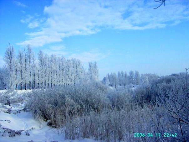 Мар'янівка з panoramio.com - Мар'янівка