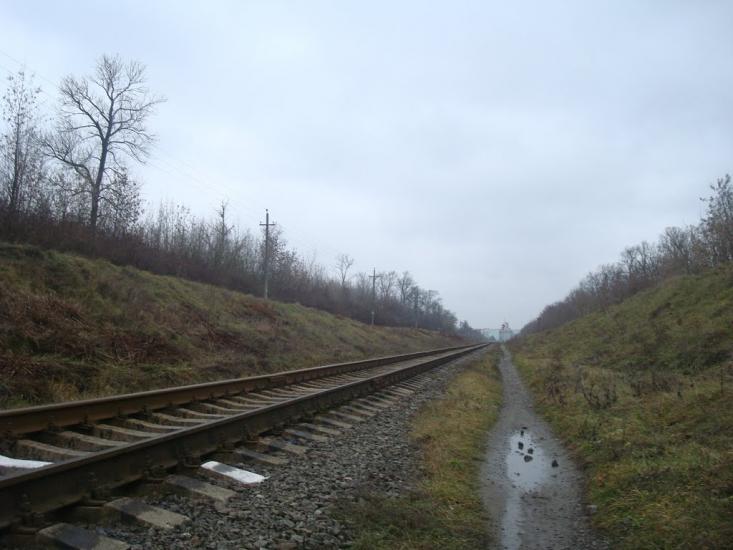 Григорівка з panoramio.com - Grygorivka