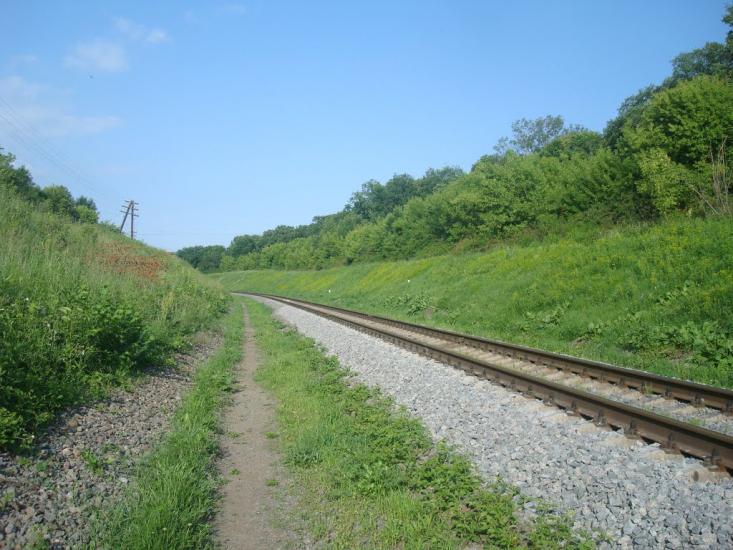 Чотирбоки з panoramio.com - Чотирбоки