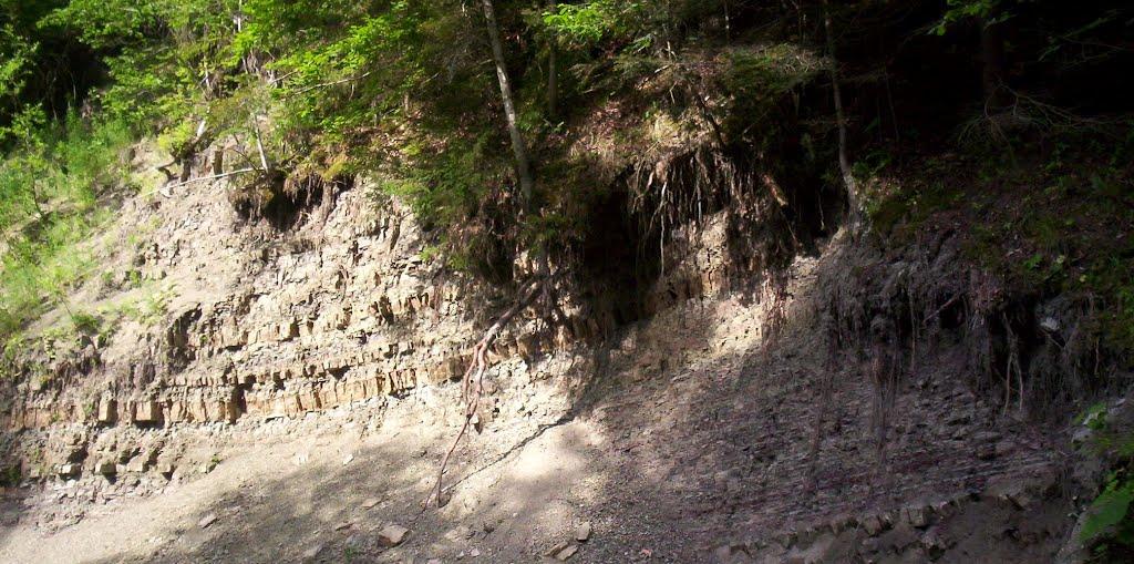 Кам'янка з panoramio.com - Каменка