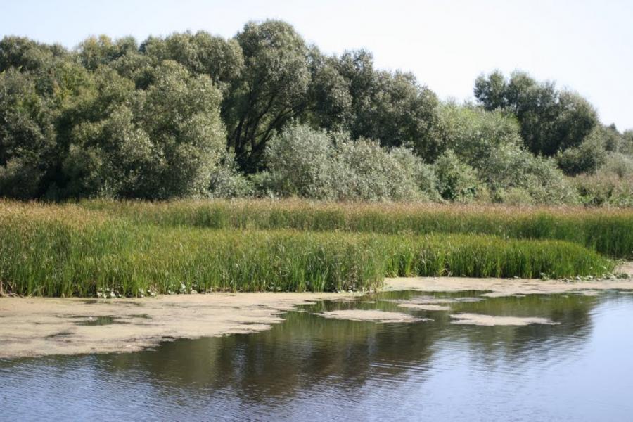 Велика Круча з panoramio.com - Велика Круча