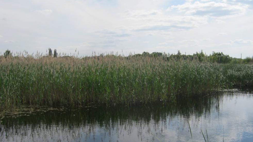 Богданівка з panoramio.com - Богдановка