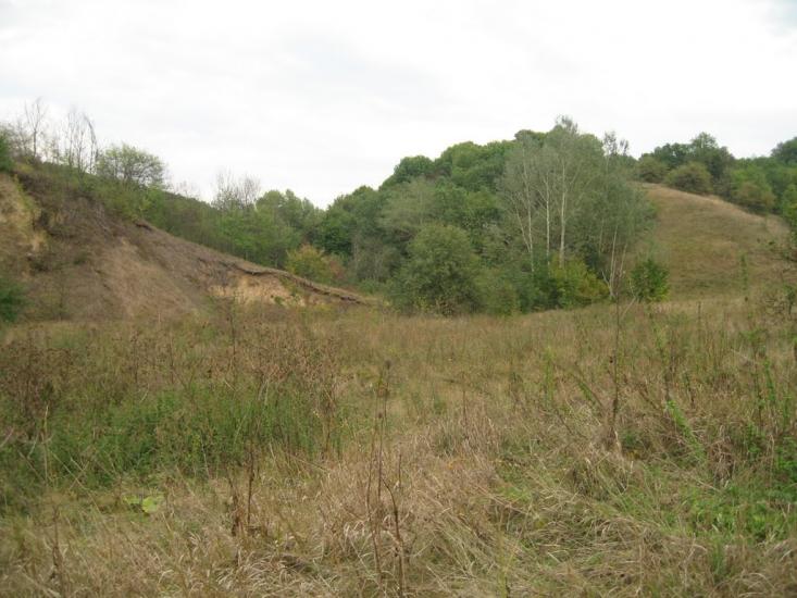 Плавні з panoramio.com - Плавни
