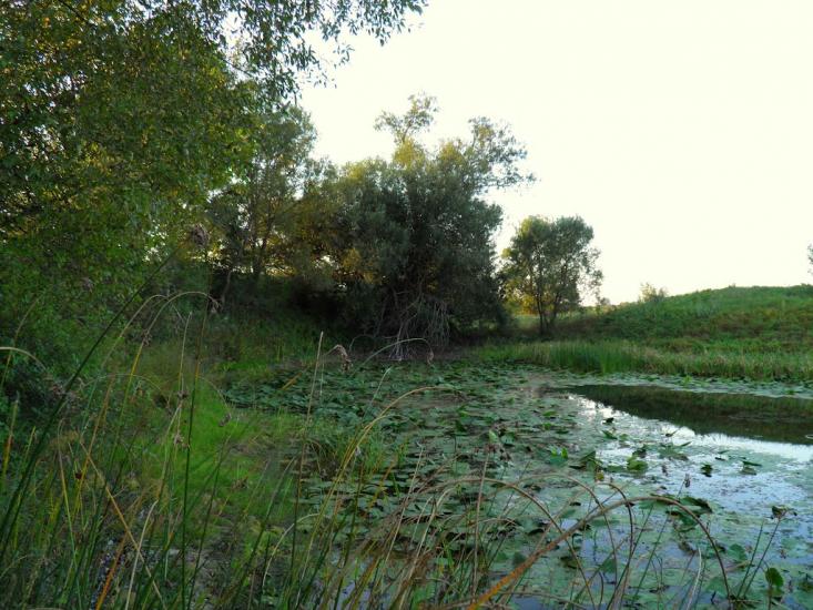 Єньків з panoramio.com - Еньков