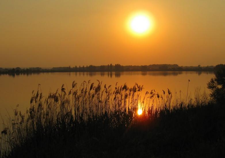 Вільхове з panoramio.com - Вільхове