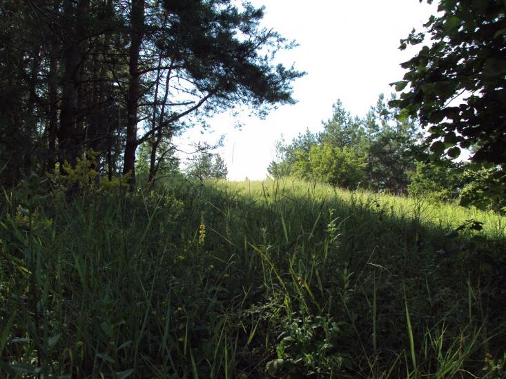 Пекарі з panoramio.com - Пекарі
