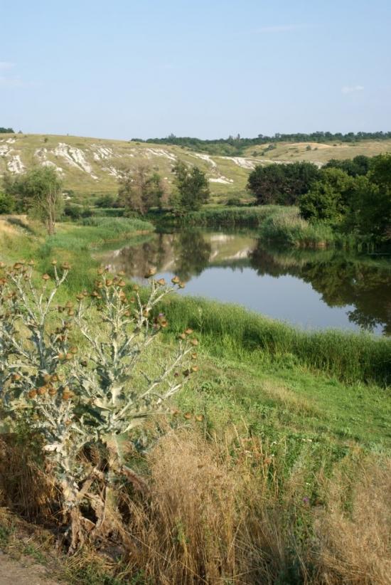 Лиман з panoramio.com - Лиман