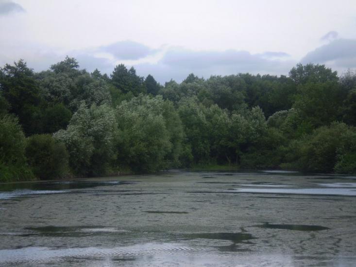 Селище з panoramio.com - Селище