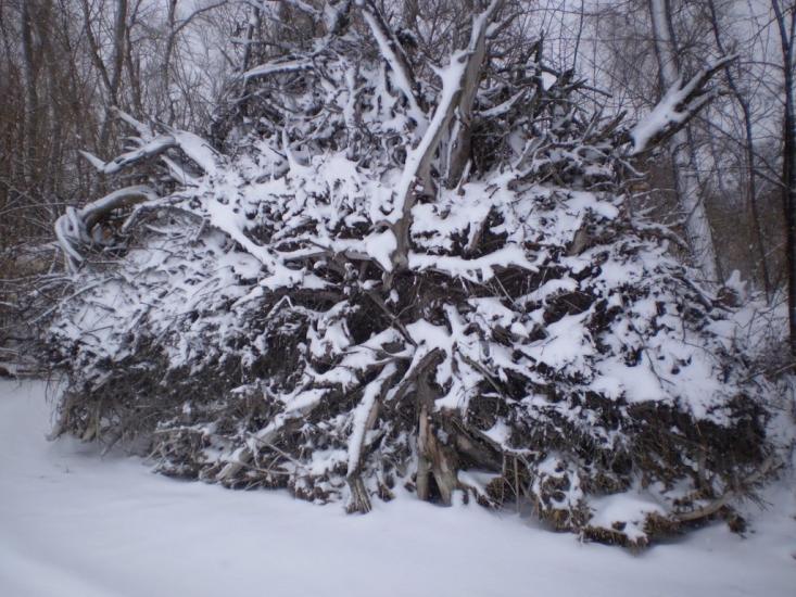 Кам'янка-Дніпровська з panoramio.com - Каменка-Днепровская