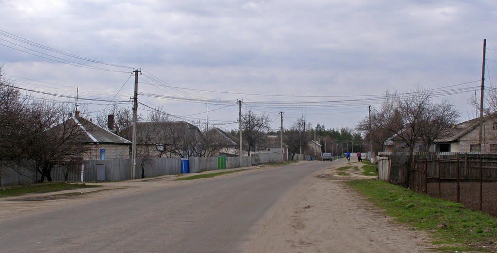 Новопсков з panoramio.com - Novopskov