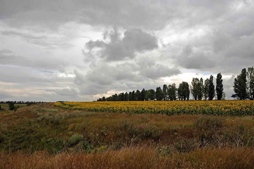 Суха Балка з panoramio.com - Суха Балка