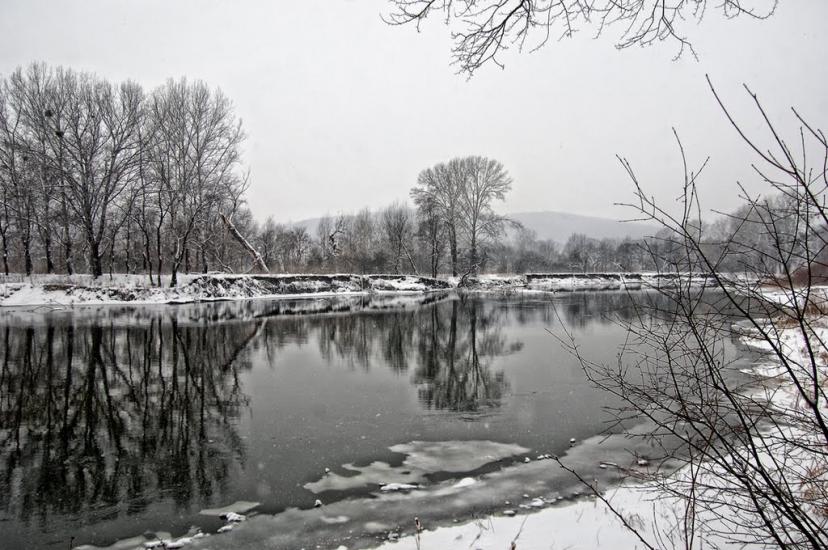 Пасіка з panoramio.com - Пасека