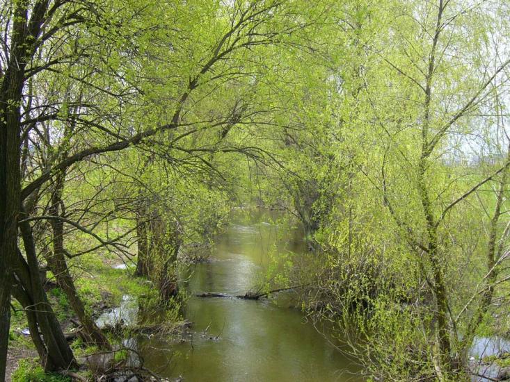 Буча з panoramio.com - Буча