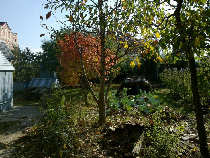 Чабани з panoramio.com - Чабани