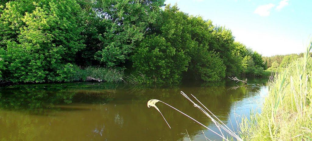 Хорошеве з panoramio.com - Хорошево