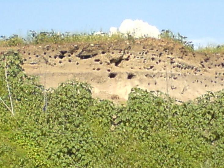 Гірки з panoramio.com - Горки
